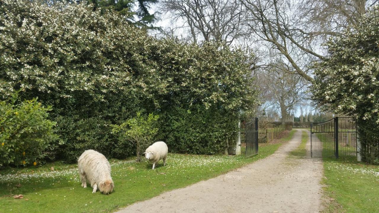 Homestead B&B Cambridge Zewnętrze zdjęcie